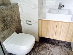 The Peak @ Cairnhill I (D9), Apartment #461360261